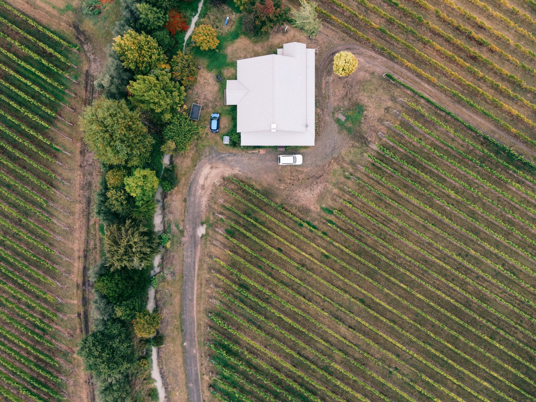 Aerial view of estate vineyard lodge surrounded by vines and open sky