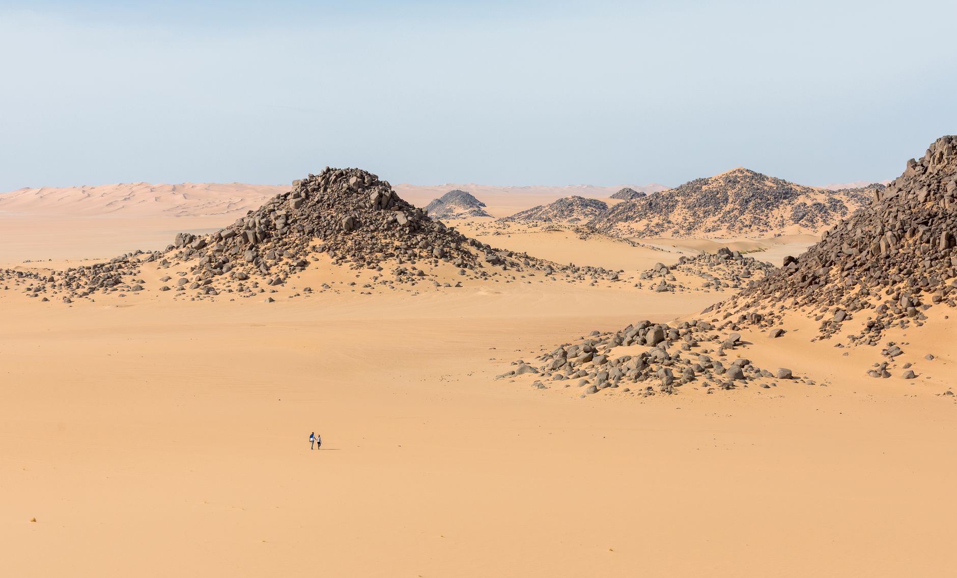 Wide view of the Saharan desert with sculptural limestone formations under bright sunlight