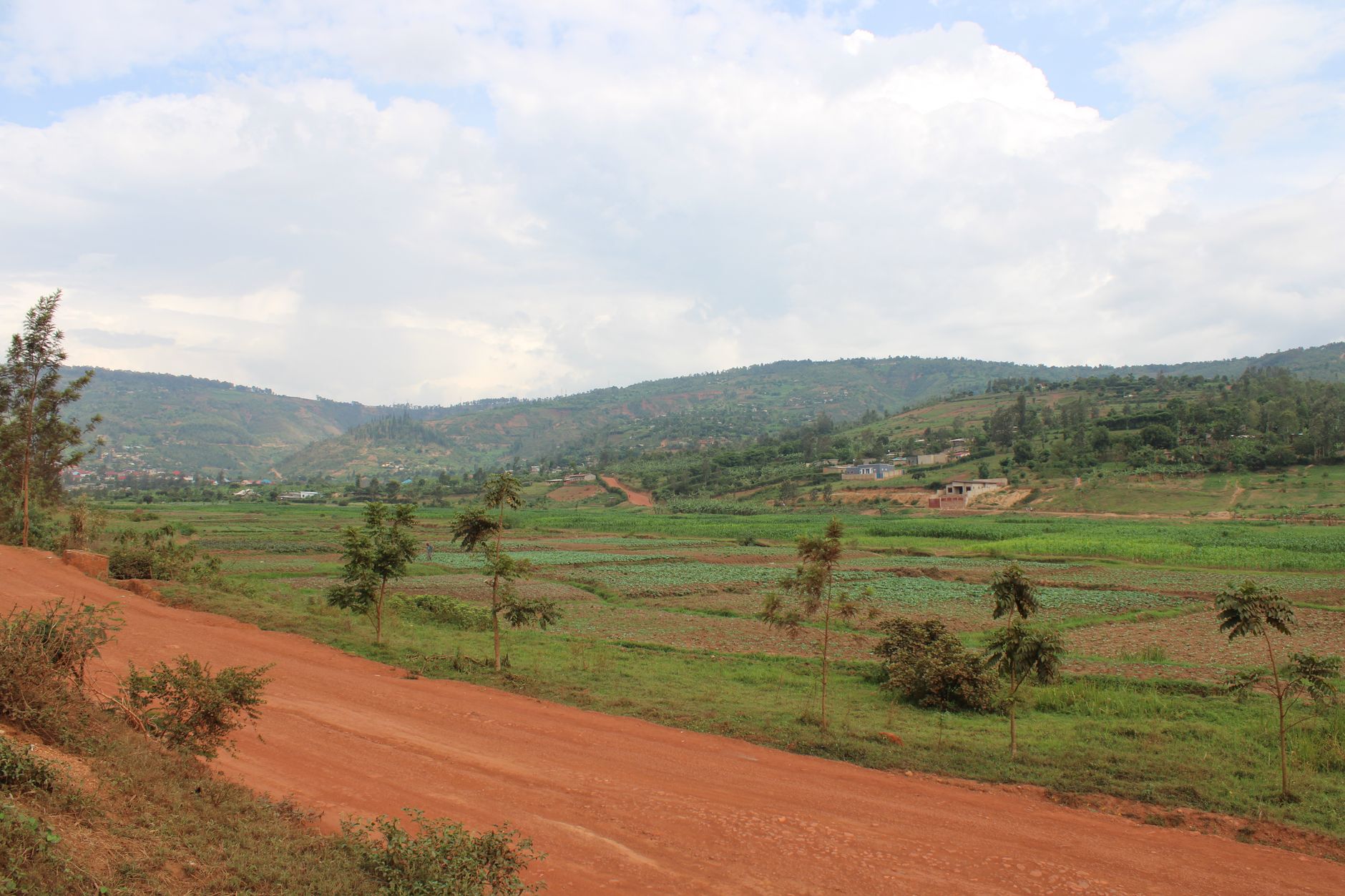 Rolling green hills and terraced farmland in the Rwanda highlands near Volcanoes National Park
