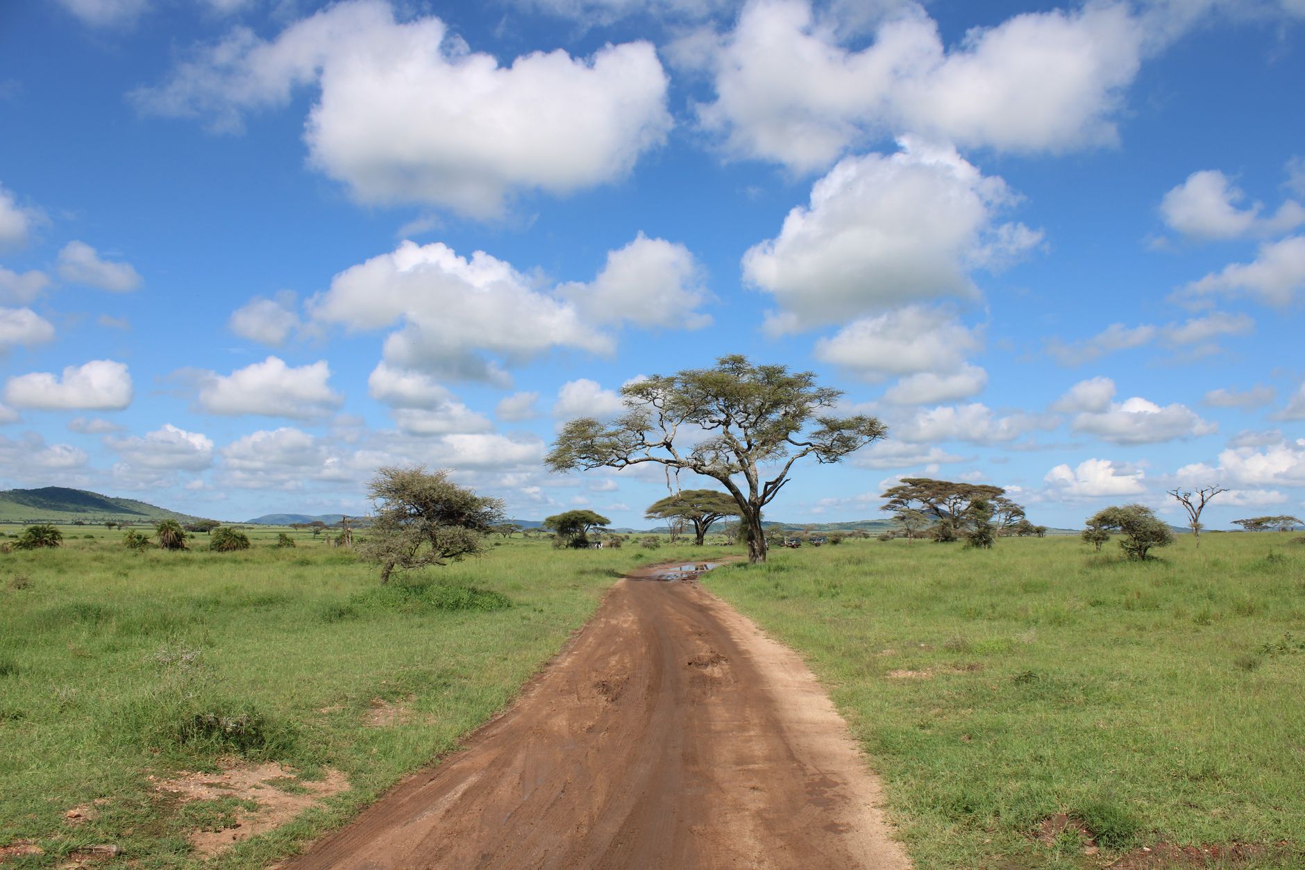 Wide savanna landscape with scattered rocky kopjes stretching to the horizon in southern Africa