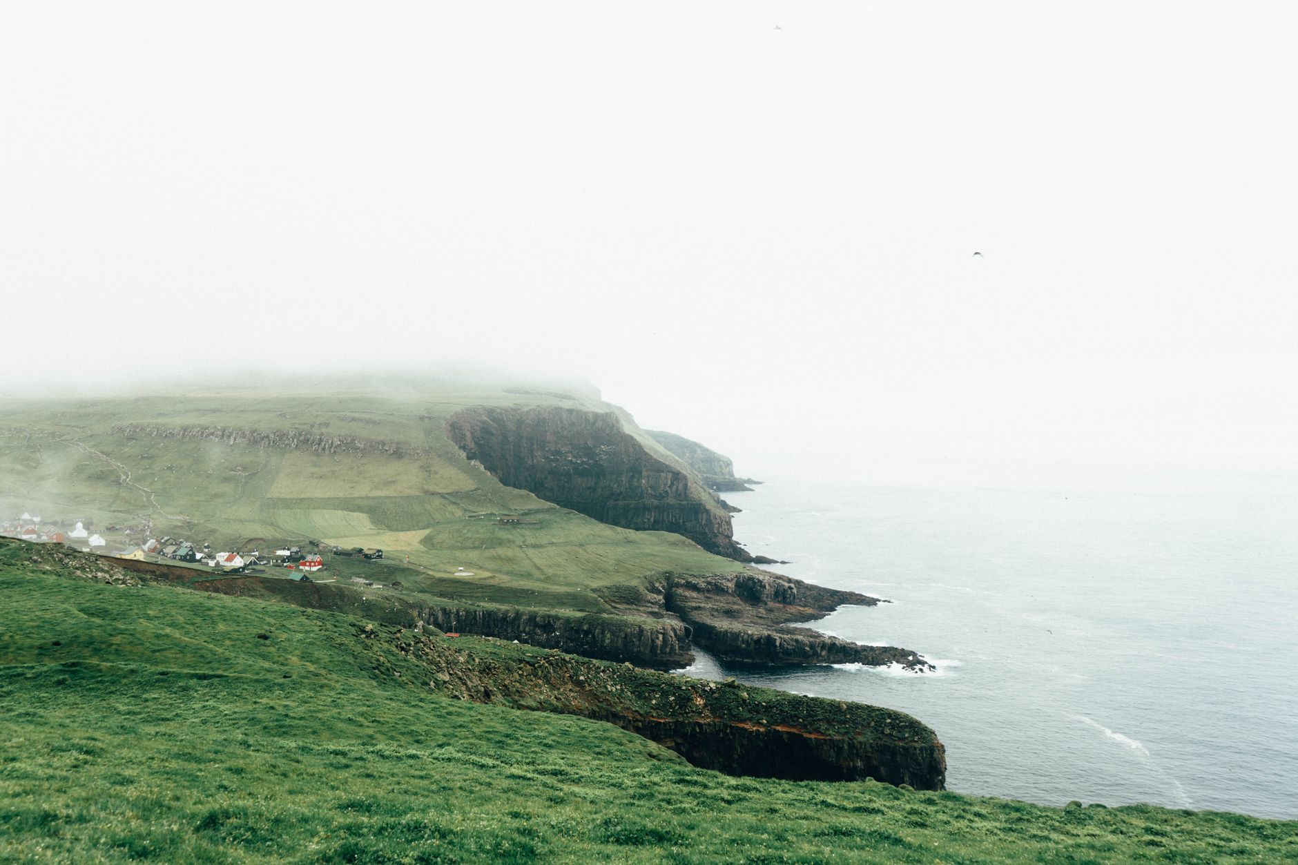 Fog rolling over a lush green coastal cliff during monsoon season in Dhofar, Oman