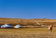 Wide open Mongolian steppe landscape with rolling green hills and a winding river valley