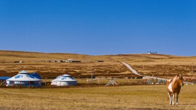 Wide open Mongolian steppe landscape with rolling green hills and a winding river valley