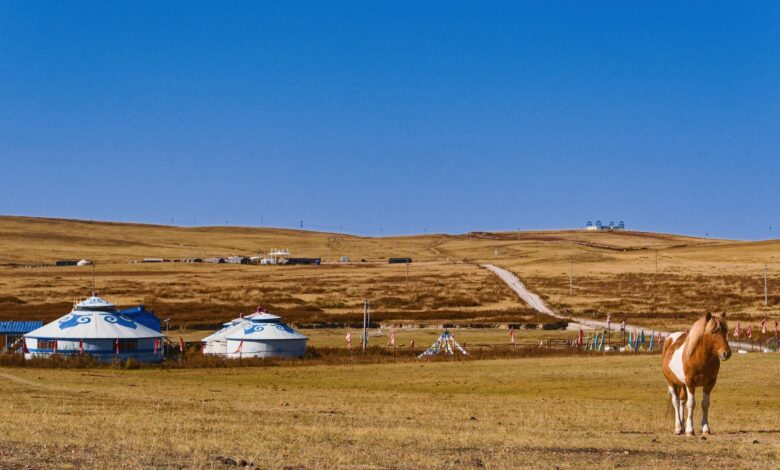 Wide open Mongolian steppe landscape with rolling green hills and a winding river valley