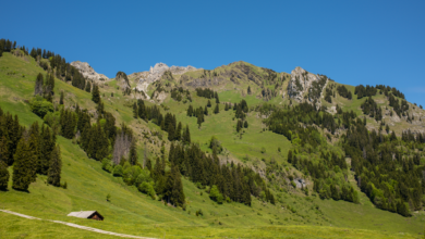 Sweeping highland meadow beneath rugged mountain peaks in Turkey's Kaçkar range