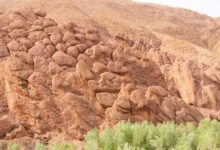 Narrow limestone canyon walls rising steeply above a rocky river floor in Morocco's Todra Gorge