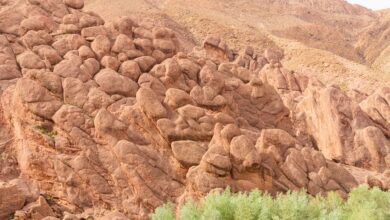 Narrow limestone canyon walls rising steeply above a rocky river floor in Morocco's Todra Gorge