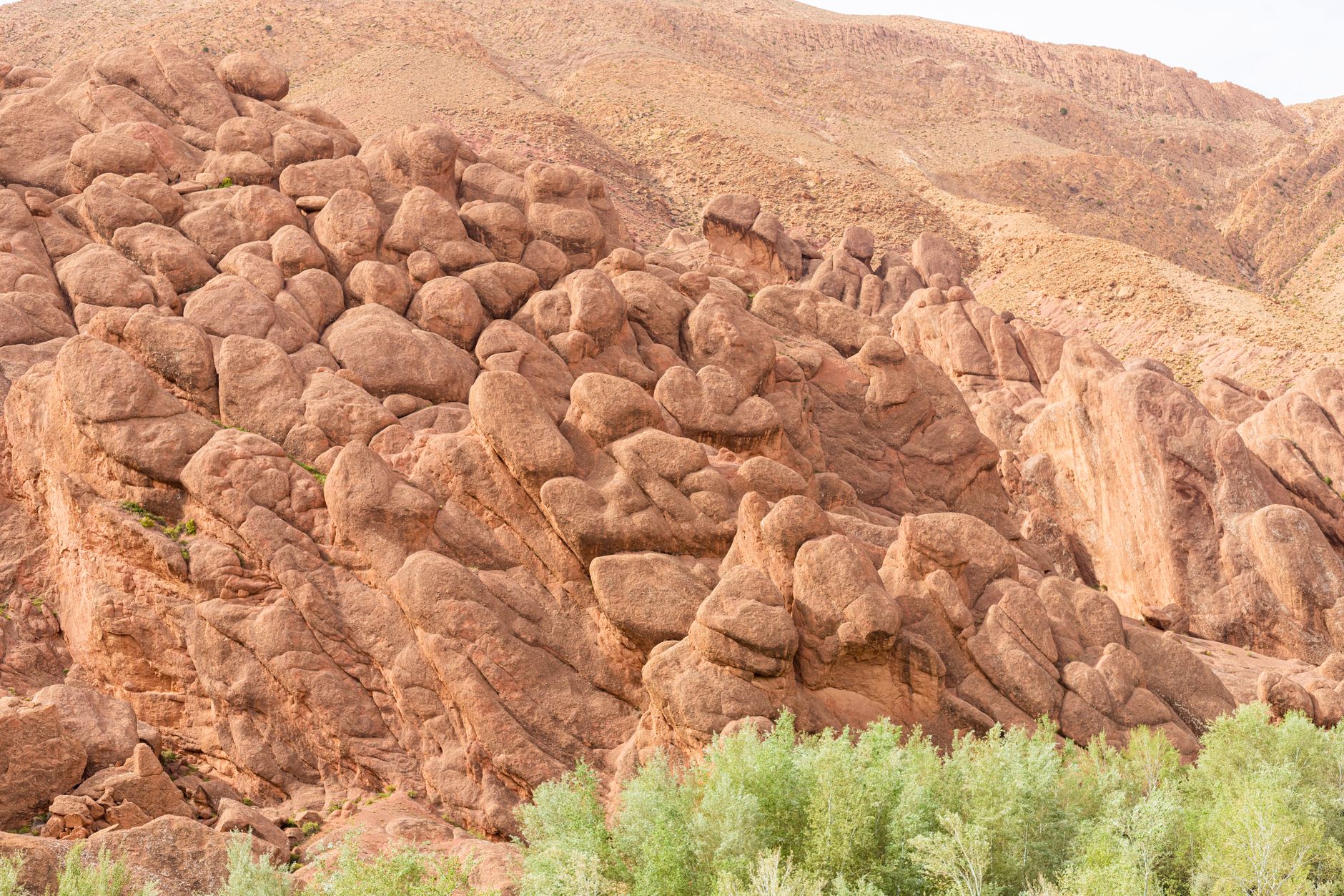 Narrow limestone canyon walls rising steeply above a rocky river floor in Morocco's Todra Gorge