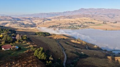 Open Afroalpine moorland on the Sanetti Plateau in Ethiopia's Bale Mountains