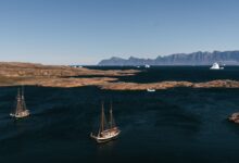 Massive icebergs floating in a calm Arctic fjord under soft daylight near Ilulissat, Greenland