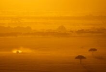 Wide open savanna landscape typical of Kenya's Laikipia Plateau with acacia trees and dry grassland