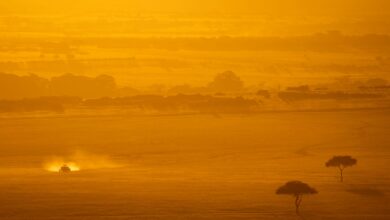 Wide open savanna landscape typical of Kenya's Laikipia Plateau with acacia trees and dry grassland