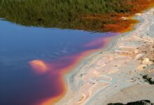 A shallow tropical river with vivid red and orange hues across the rocky riverbed