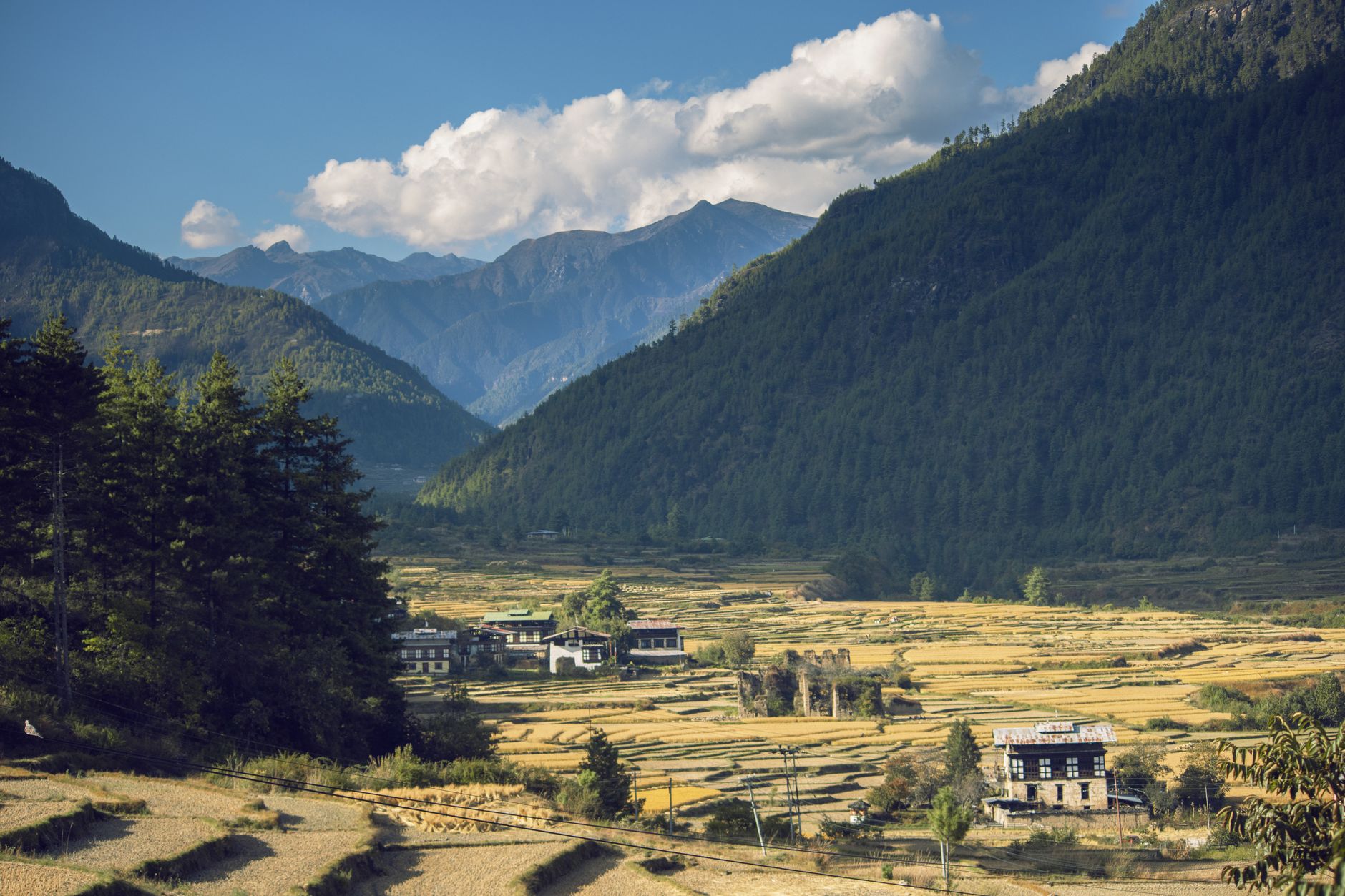 Wide view of a remote Himalayan valley with pine forests and traditional architecture in Bhutan's Haa district