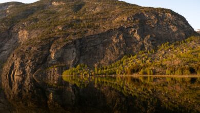 Steep limestone cliffs descending directly into calm blue inlet waters, similar to the dramatic khors of Musandam Peninsula
