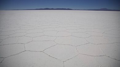 Vast white salt flats of Chott el-Djerid stretching to the horizon in southern Tunisia