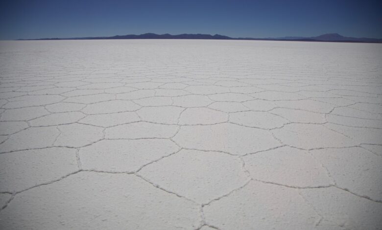 Vast white salt flats of Chott el-Djerid stretching to the horizon in southern Tunisia