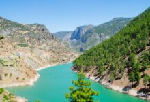 Crystal-clear turquoise water of the Soča River flowing through a forested alpine valley in Slovenia