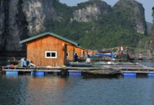 Stilted wooden houses over calm lake water in a traditional floating village