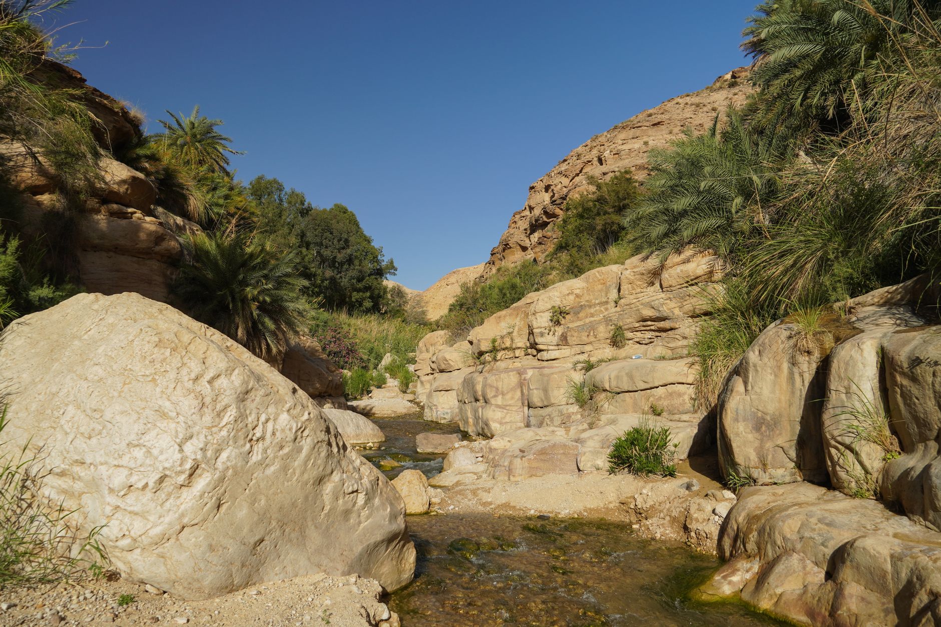 A waterfall cascading into a green valley with frankincense trees during the khareef season