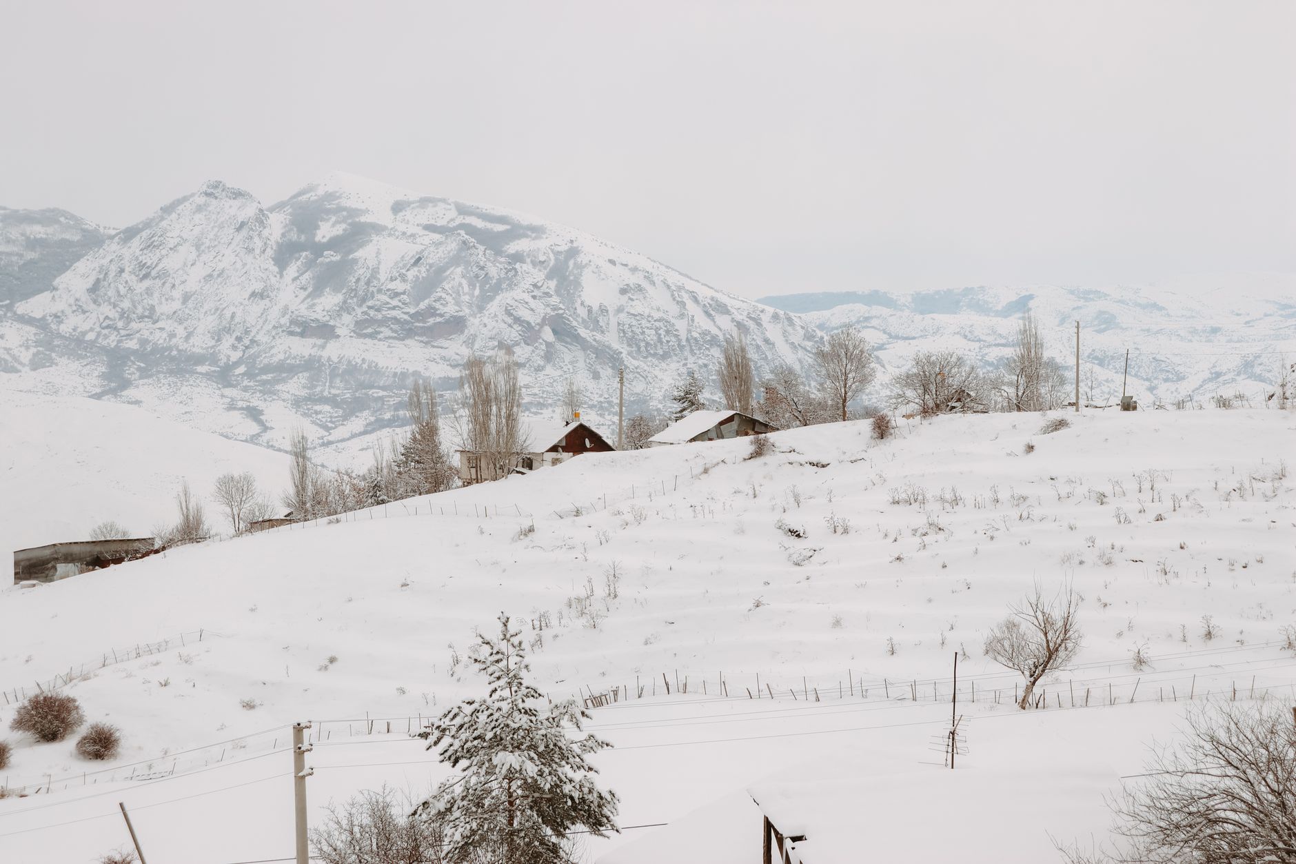 Small village guesthouse nestled in a forested mountain valley in the South Caucasus