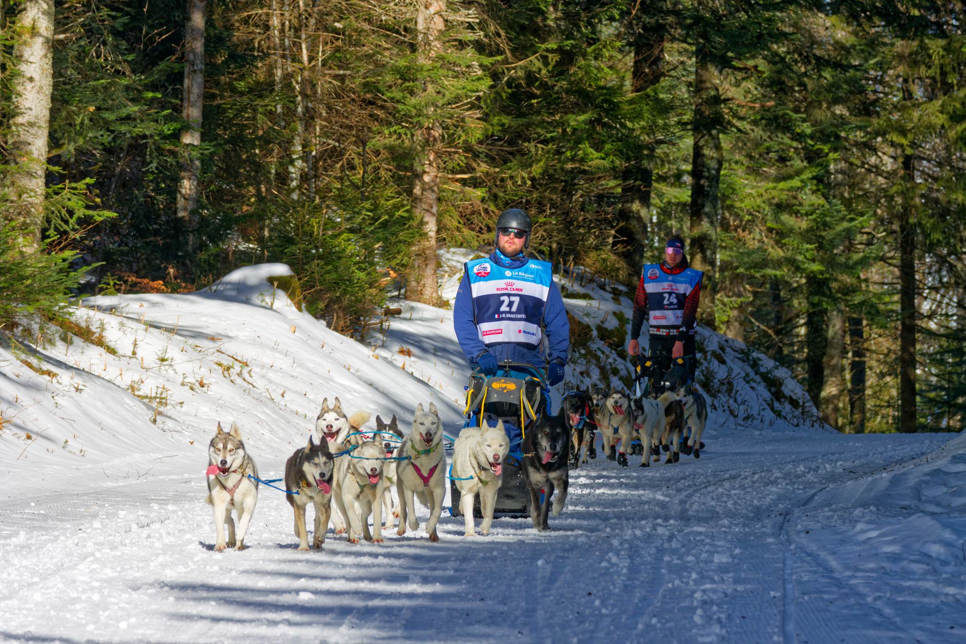 Dog sled team pulling a sledge across a snow-covered Arctic landscape in winter conditions