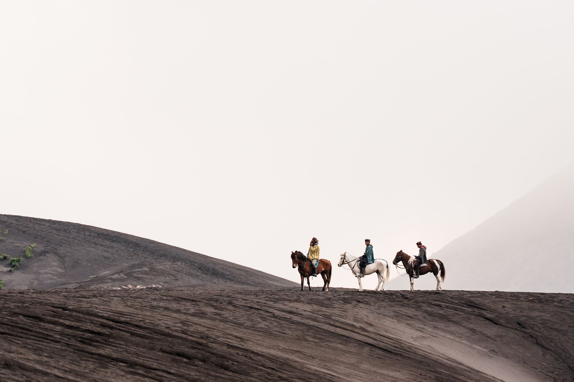 Rider on horseback traversing a high mountain meadow trail with forested ridgeline in background