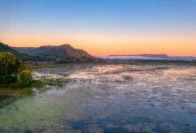 Sunlit wetland lagoon at dawn surrounded by marsh grasses in Argentina's Iberá reserve