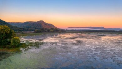 Sunlit wetland lagoon at dawn surrounded by marsh grasses in Argentina's Iberá reserve