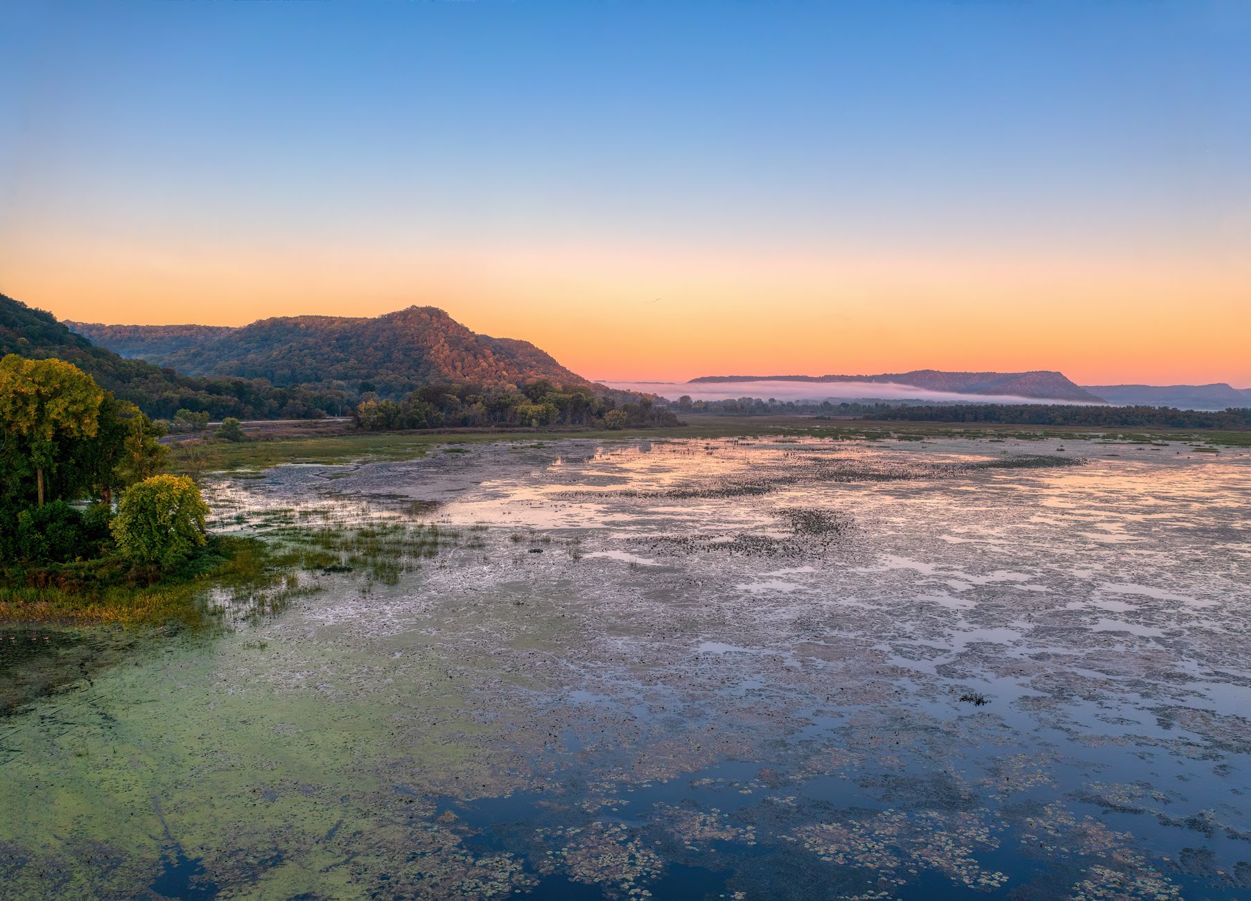Sunlit wetland lagoon at dawn surrounded by marsh grasses in Argentina's Iberá reserve