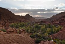 Arid high-altitude valley with barren slopes and a river running through the center, typical of the Himalayan cold desert landscape