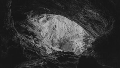 Rocky cave entrance in a forested mountain landscape in Romania