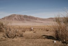 Wide open Mongolian grassland steppe under a clear blue sky with distant hills