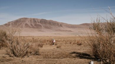 Wide open Mongolian grassland steppe under a clear blue sky with distant hills