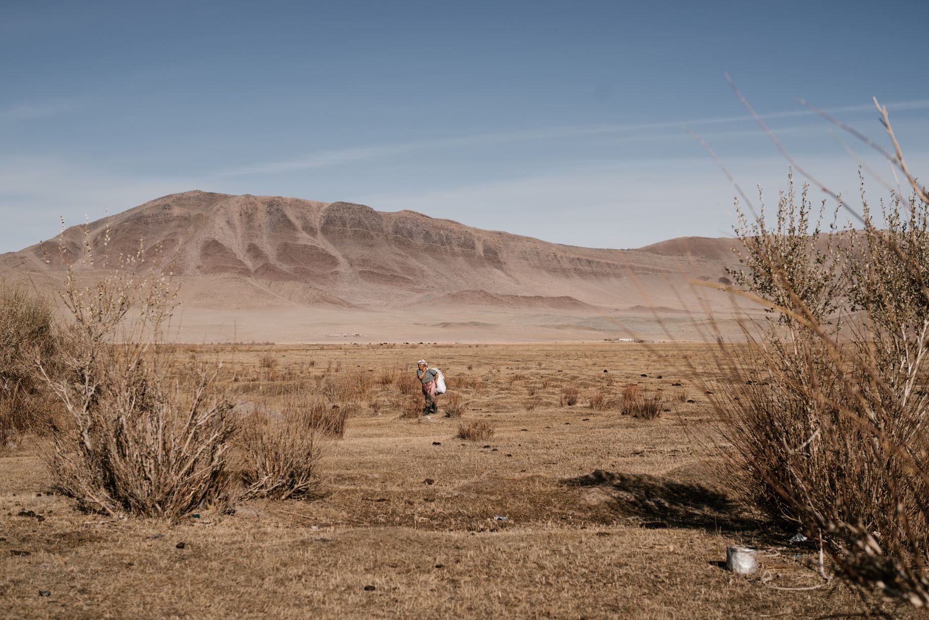 Wide open Mongolian grassland steppe under a clear blue sky with distant hills