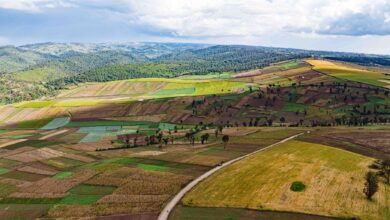 Rocky highland landscape in Ethiopia with dramatic sandstone cliffs and dry scrubland