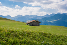 Lush green alpine meadow with mountain peaks in the background under a partly cloudy sky