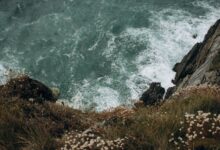 Wind-swept coastal cliffs overlooking a turbulent sea under overcast skies