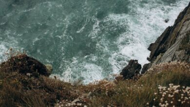 Wind-swept coastal cliffs overlooking a turbulent sea under overcast skies