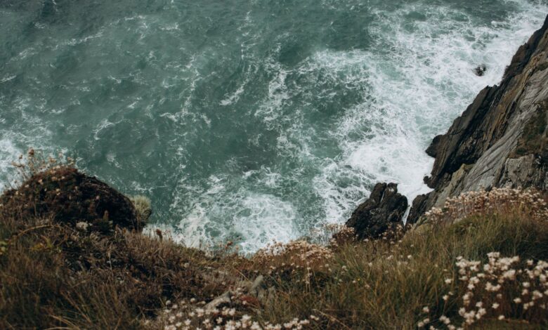 Wind-swept coastal cliffs overlooking a turbulent sea under overcast skies