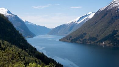 Narrow tropical fjord inlet surrounded by dense jungle in Papua New Guinea