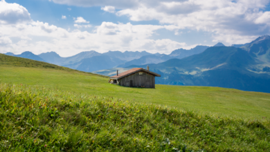 Lush green alpine meadow with mountain peaks in the background under a partly cloudy sky