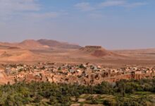 A green oasis corridor with date palms stretching through a dry desert landscape in southern Morocco