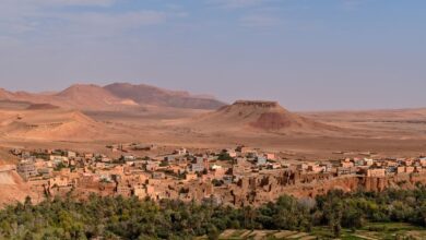 A green oasis corridor with date palms stretching through a dry desert landscape in southern Morocco