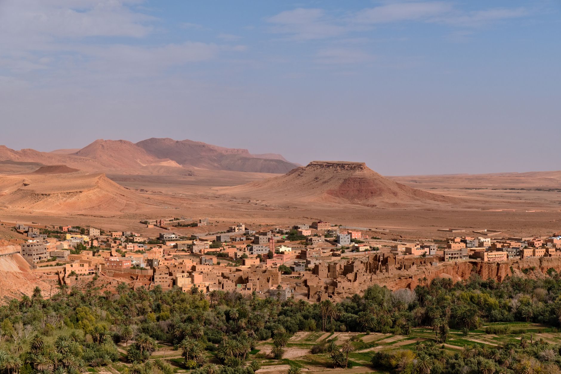A green oasis corridor with date palms stretching through a dry desert landscape in southern Morocco