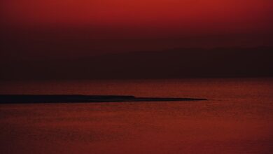 Calm Red Sea coastline with turquoise water and rocky limestone shore