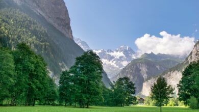 A wide alpine valley surrounded by dramatic limestone peaks under clear blue sky