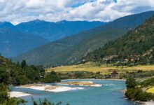 Wide green valley floor in Bhutan surrounded by pine-forested mountain ridges under soft morning light