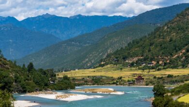 Wide green valley floor in Bhutan surrounded by pine-forested mountain ridges under soft morning light