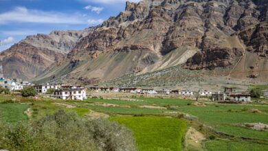 Traditional timber village on a high-altitude plateau surrounded by pine forest and open meadows